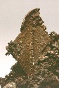 copper, sceleton crystal, Tsumeb